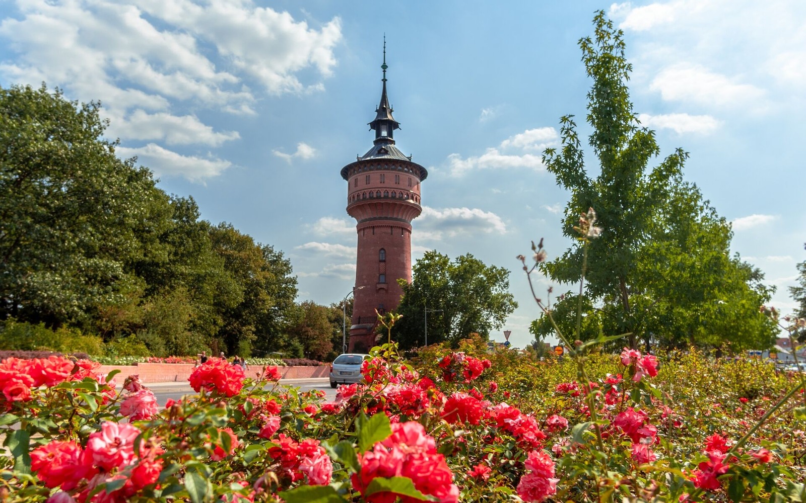 Dirne aus Forst (Lausitz)