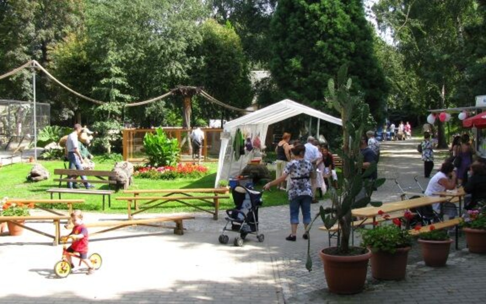 Slavnosti zooparku 2009, foto: Zoopark Senftenberg
