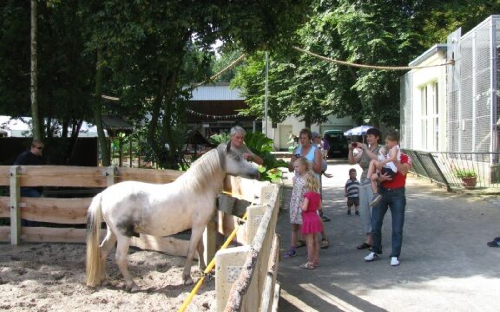 Zblízka tu lze poznat také koně a osly, foto: Zoopark Senftenberg