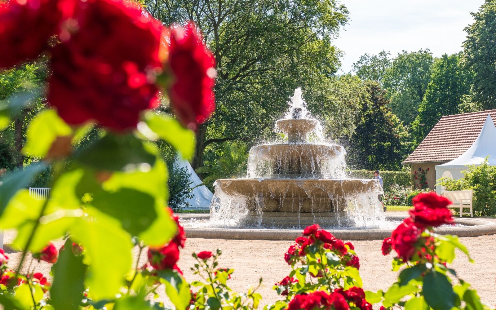 Kaskadenbrunnen im Rosenpark, Foto: PatLografie, Patrick Lucia, Lizenz: Stadt Forst (Lausitz)/ EBKTM