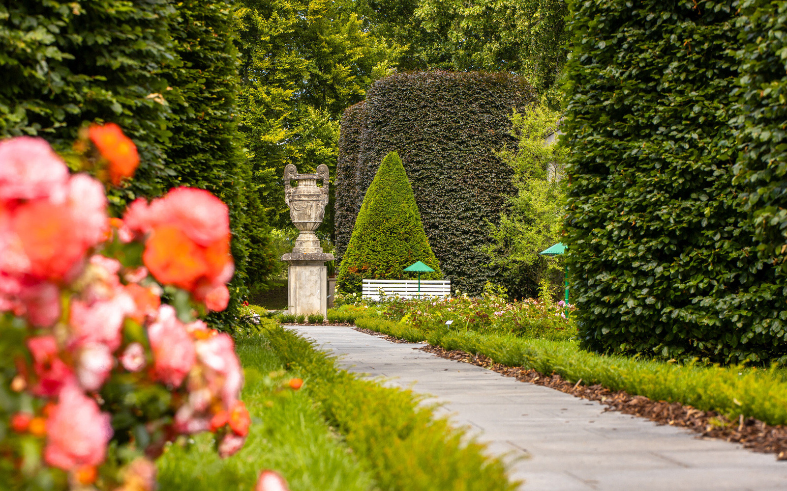 Teschendorffgarten , Foto: Patrick Lucia, Lizenz: PatLografie