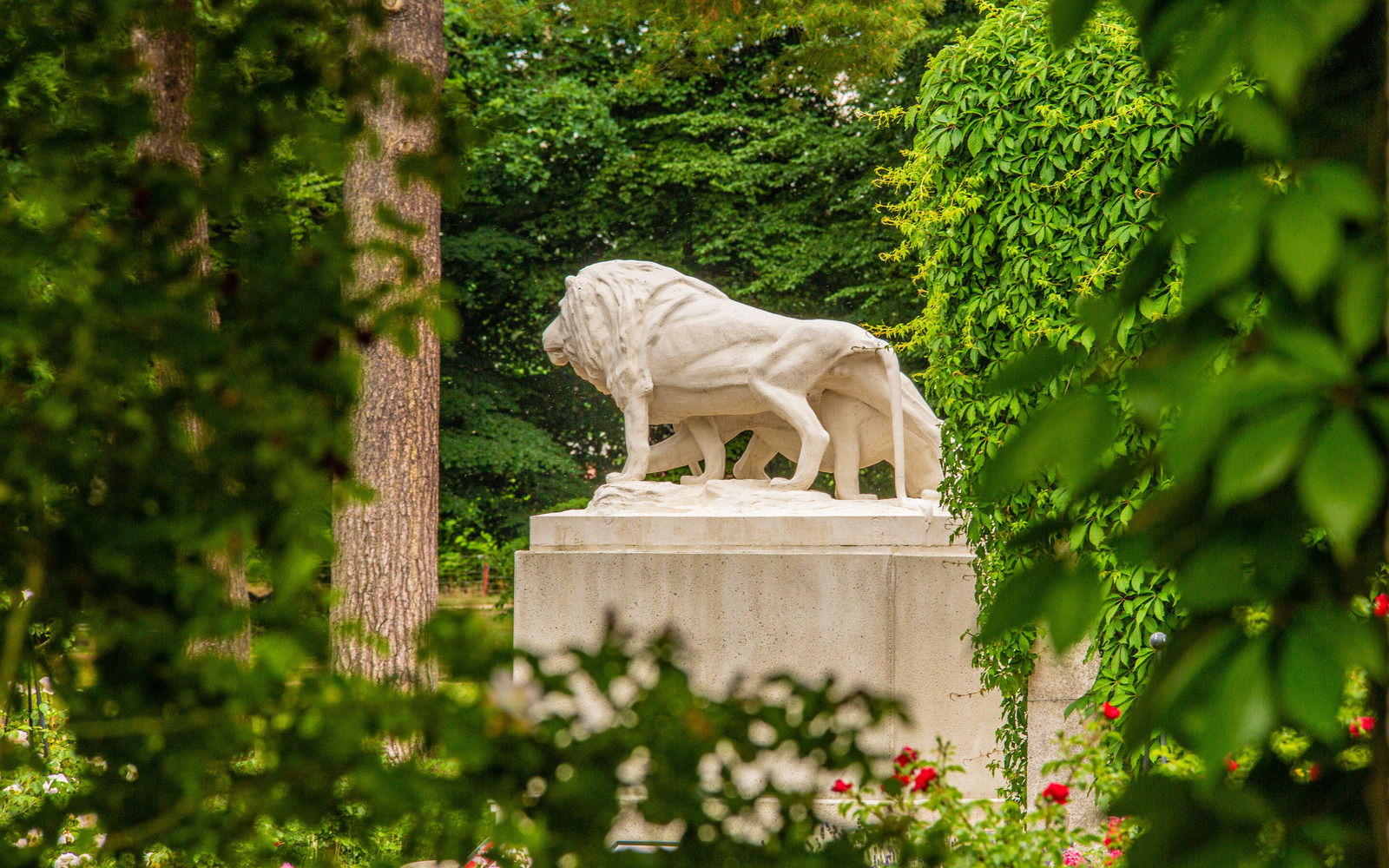 Pergolenhof, Foto: Patrick Lucia, Lizenz: PatLografie