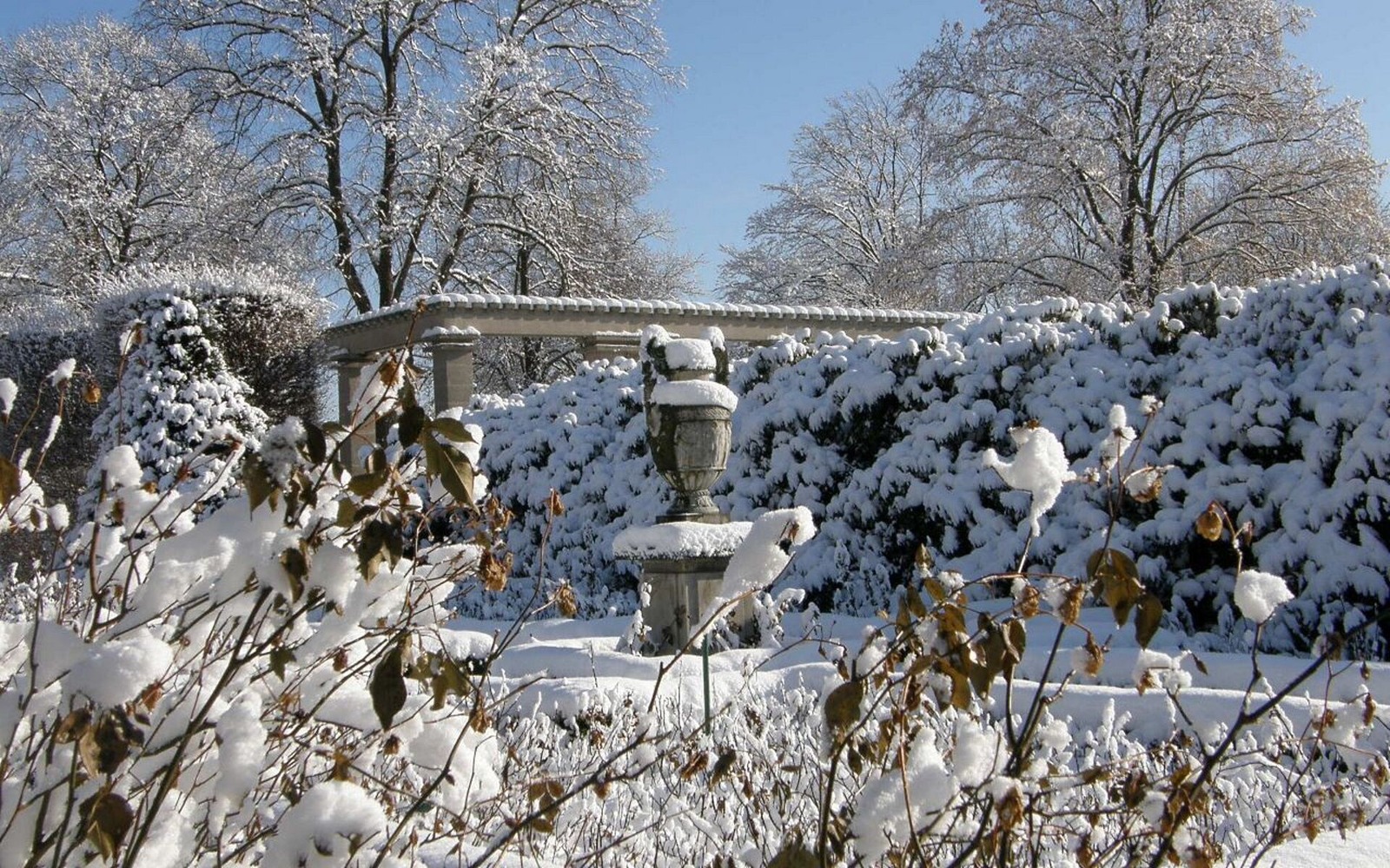 Východoněmecká zahrada růží Forst (Lausitz), foto: Město Forst (Lausitz)/Annette Schild