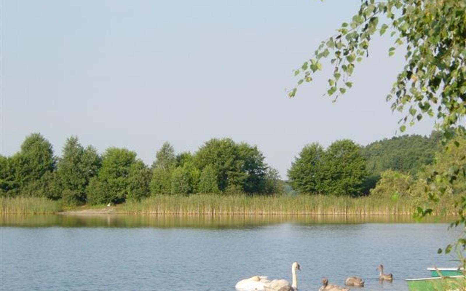 Pinnower See – loď na pláži, foto: Doreen Noack