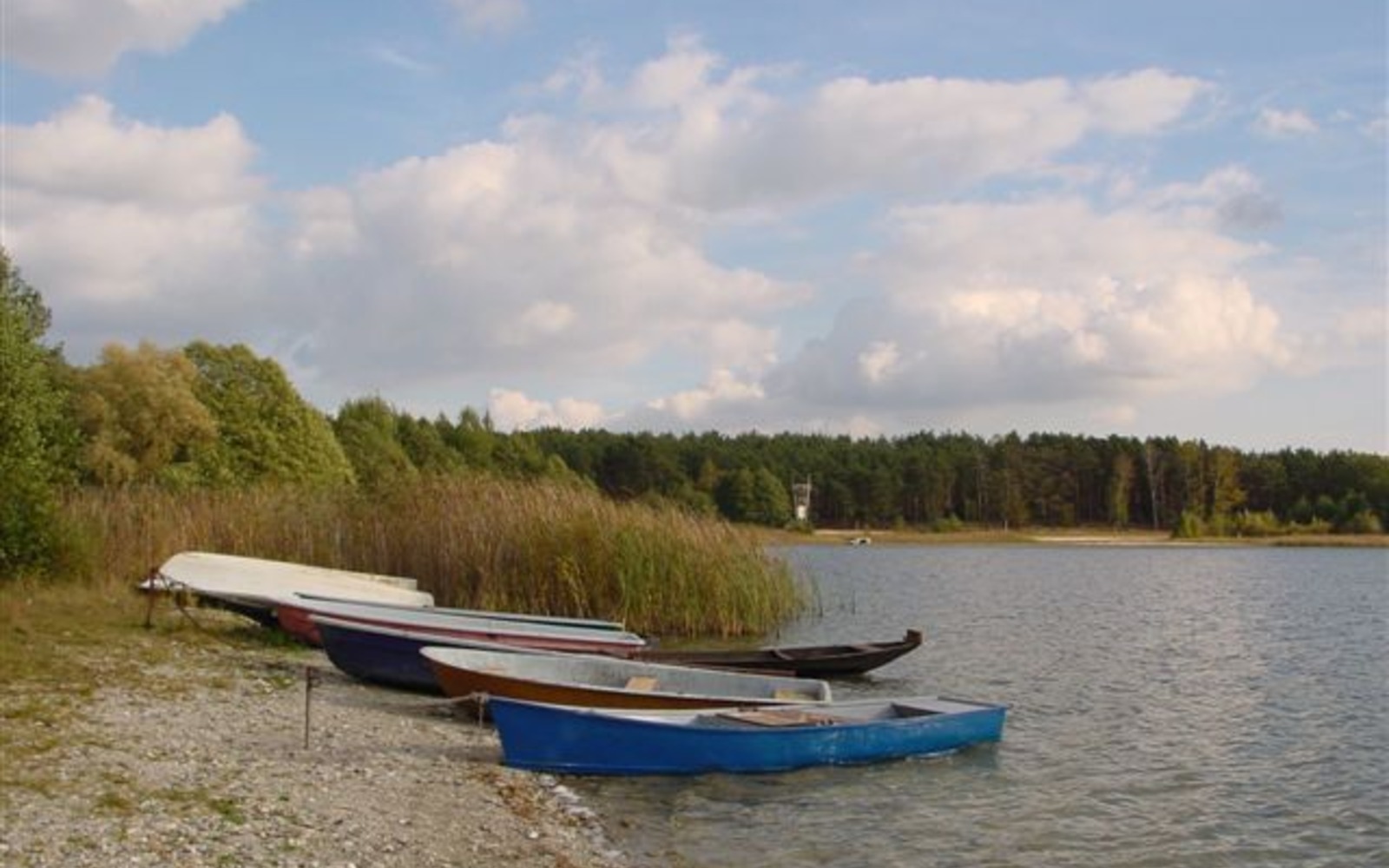Pinnower See – labuť, foto: Doreen Noack